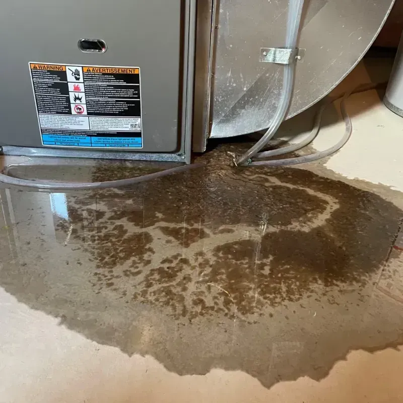 Appliance Leak Cleanup in Keith County, NE